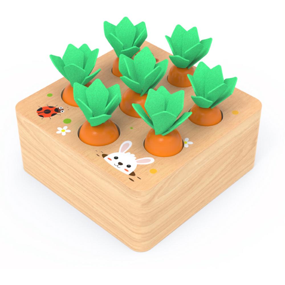 Jeu Montessori en Bois – Tri des Carottes
