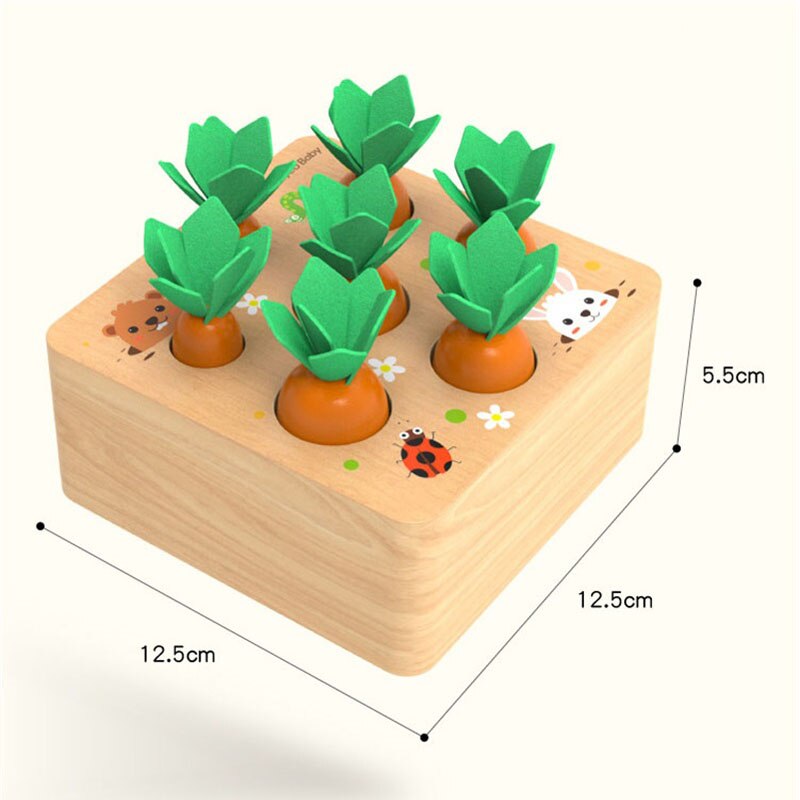 Jeu Montessori en Bois – Tri des Carottes