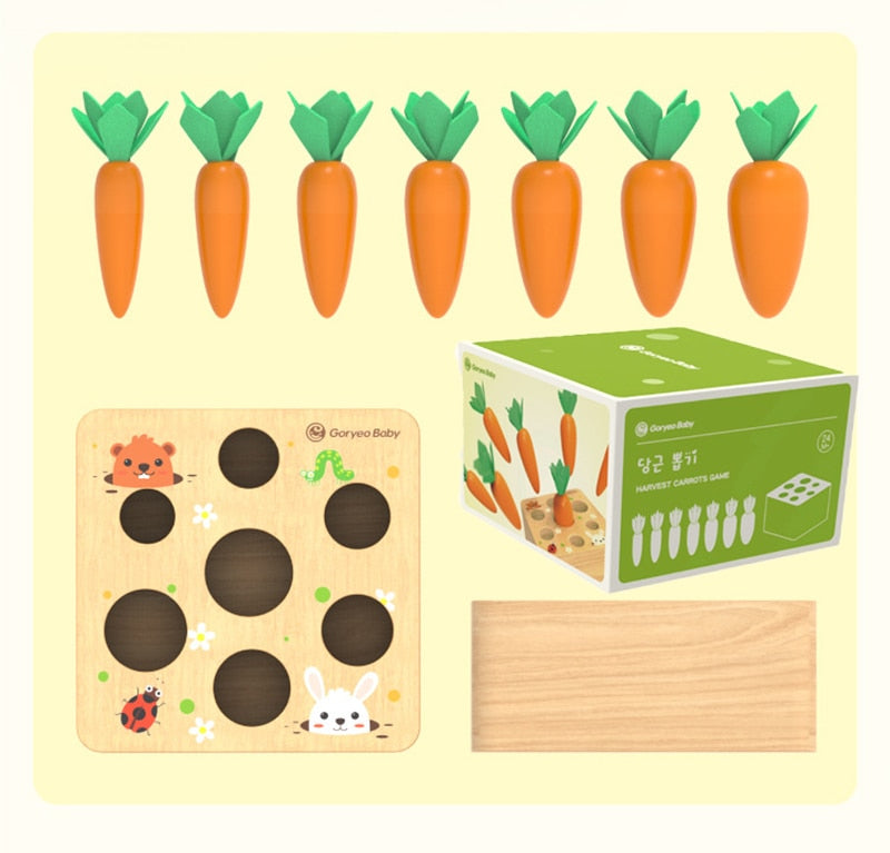 Jeu Montessori en Bois – Tri des Carottes