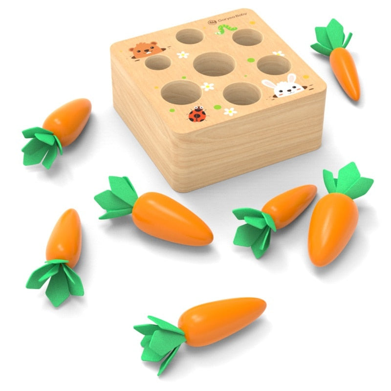 Jeu Montessori en Bois – Tri des Carottes
