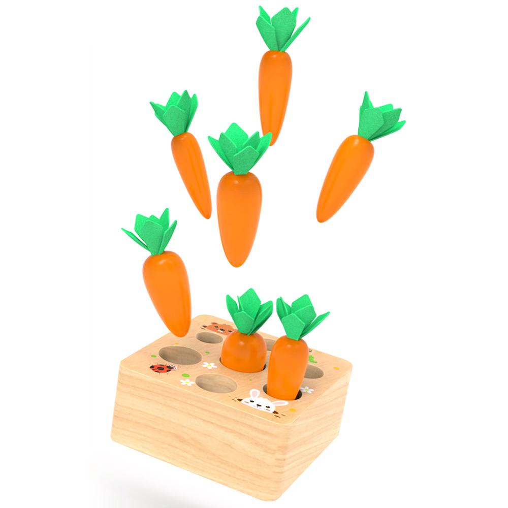 Jeu Montessori en Bois – Tri des Carottes