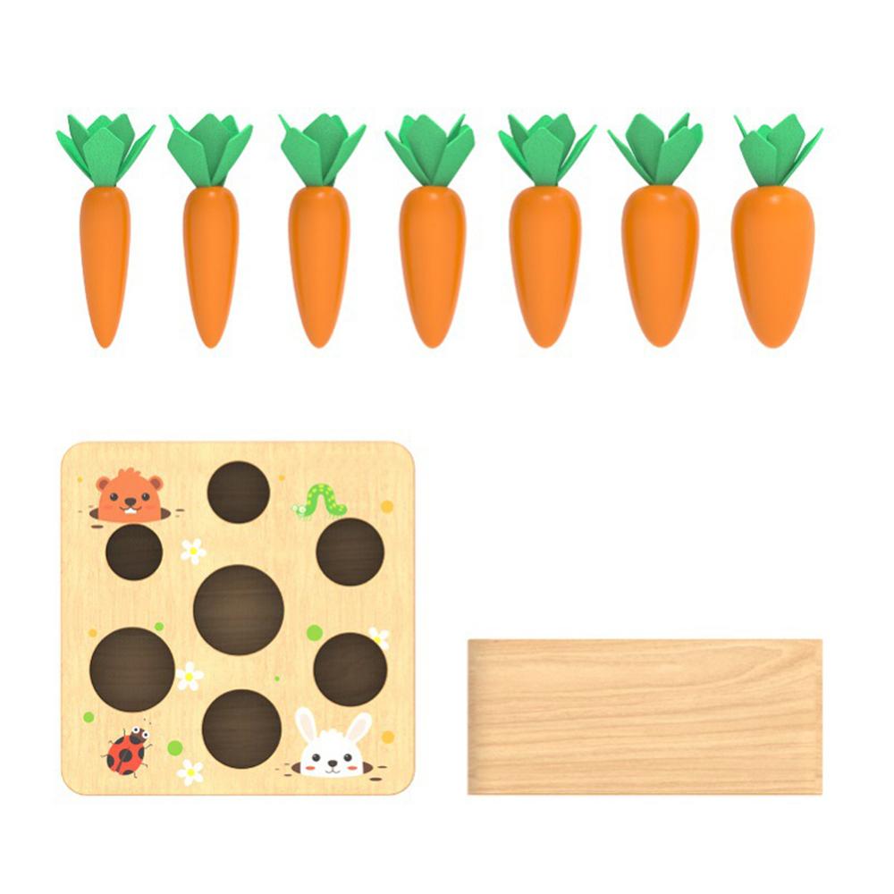 Jeu Montessori en Bois – Tri des Carottes