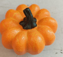 Pumpkin / Short